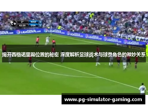 揭开西格诺里踢位置的秘密 深度解析足球战术与球员角色的微妙关系