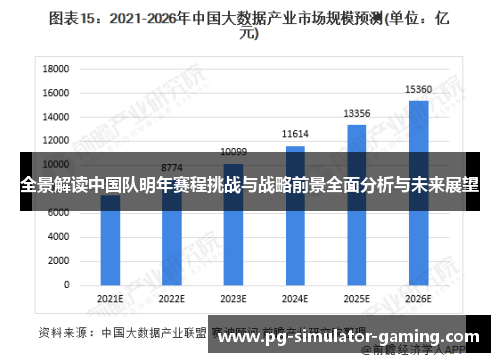 全景解读中国队明年赛程挑战与战略前景全面分析与未来展望