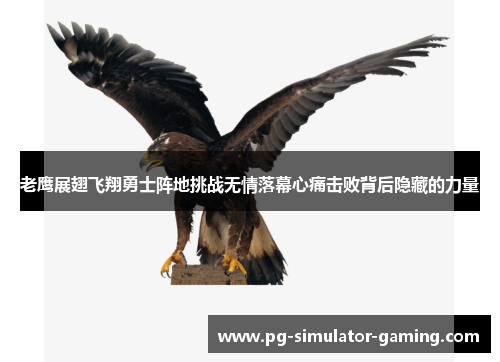 老鹰展翅飞翔勇士阵地挑战无情落幕心痛击败背后隐藏的力量