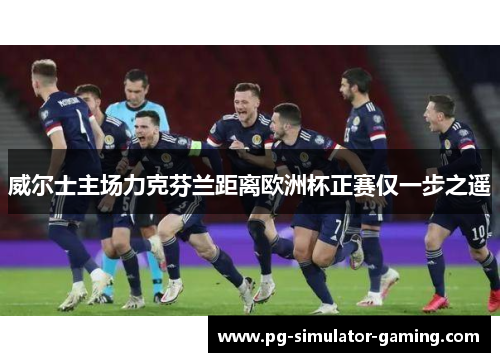 威尔士主场力克芬兰距离欧洲杯正赛仅一步之遥