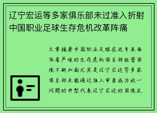 辽宁宏运等多家俱乐部未过准入折射中国职业足球生存危机改革阵痛